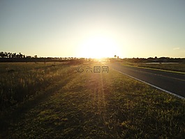 日落,濕地,自然
