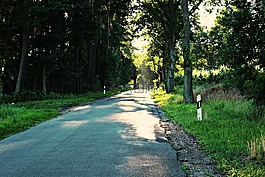 路,大道,離