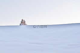 冬天,雪,寒冬