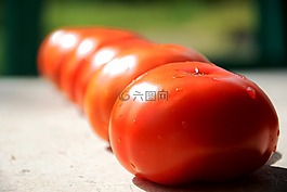 番茄,紅色,葉子