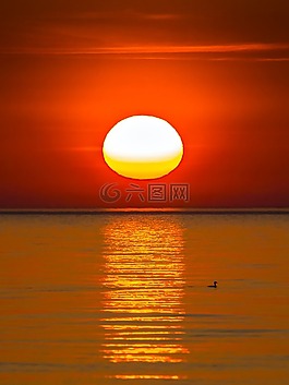 日落,景觀,海