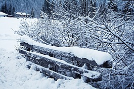冬天,雪,白