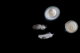 化妝品,面霜,鳥類的羽毛