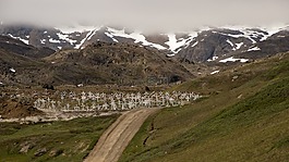 公墓,墓地,交叉