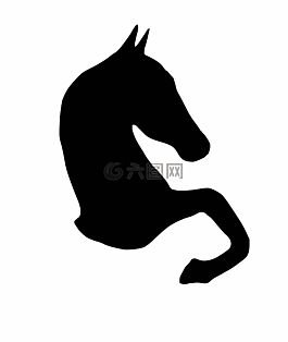 馬,馬頭,動物
