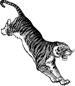 非洲,動(dòng)物,跳