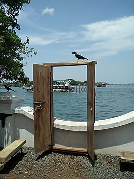 高知,河,fortkochi