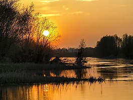 日落,太陽,景觀