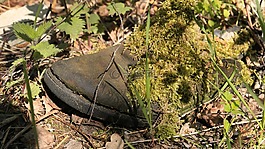 風(fēng)化,衰變,鞋