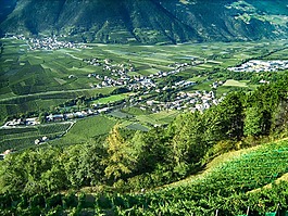 goldrain,意大利,村