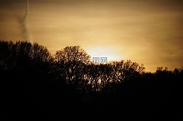 景觀,日落,樹(shù)