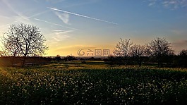 景觀,性質(zhì),綠色