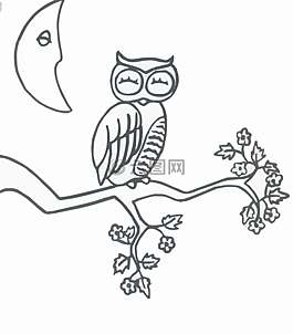 貓頭鷹,動物,鳥