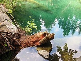 湖,性質(zhì),木