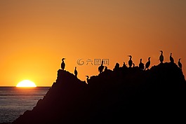 日落,日出,側(cè)影