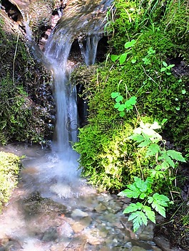 性質,水,森林