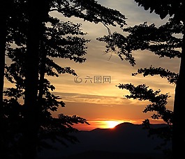 日落,太陽,樹