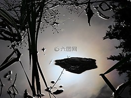 水,性質(zhì),鏡像