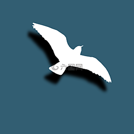 鳥(niǎo),藍(lán)色,海洋