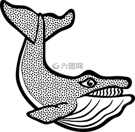 動物,海,鯨魚