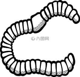 蠕蟲(chóng),動(dòng)物,昆蟲(chóng)