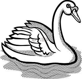 動(dòng)物,鳥(niǎo),天鵝