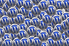 wordpress,可湿性粉剂,wp 徽标