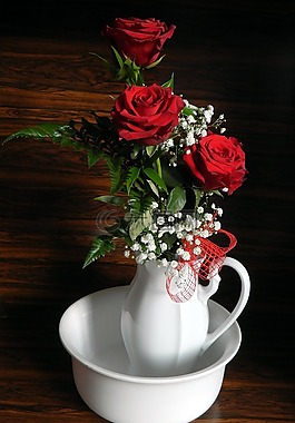 玫瑰,花,薔薇花