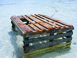 海,海洋,目睹