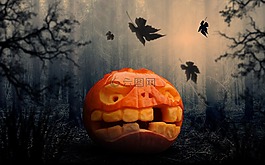 萬圣節(jié),南瓜,南瓜，秋