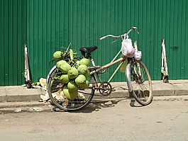 椰子,自行車,綠色