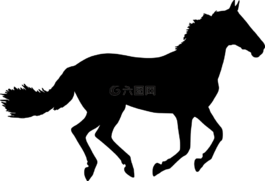馬,動(dòng)物,側(cè)影