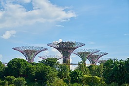 新加坡,亞洲,公園