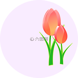 郁金香,花,粉紅色