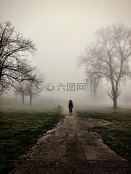 薄雾,基因扩增仪,自然