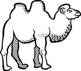 動(dòng)物,雙峰駝,駱駝