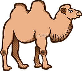 動(dòng)物,雙峰駝,駱駝