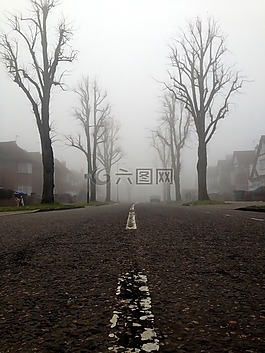 街,路,有霧