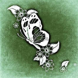 蝴蝶,鮮花,昆蟲(chóng)