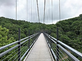 橋,森林,天空