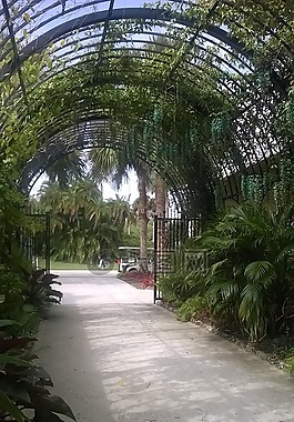 植物園,拱門(mén),入口