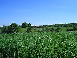 牧場,加拿大,谷倉