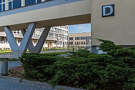 大學,學校,凱爾采