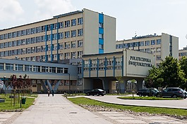 大學,學校,凱爾采