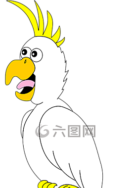 鸚鵡,鳥,白