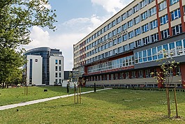 大學,學校,凱爾采