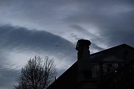 天空,秋天,樹