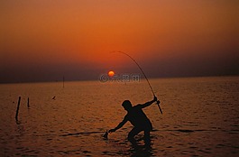 漁,日落,釣魚