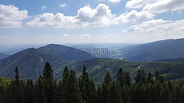 山,森林,景觀