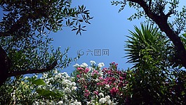 性質,夏季,熱